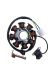 Estator 8 Campos Zn Zb 110 - comprar online