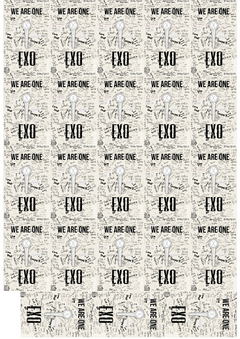 Photocards EXO x 23 (Surtidas) en internet