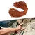 Altamente visível 20m 1.8mm barraca de acampamento toldo reflexivo guyline cord - loja online