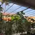 Toldo transparente - Awining Brasil