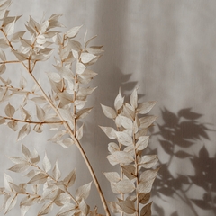 Banner de la categoría Flores & Ramas