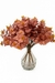 Set Eucaliptos Rosa/Verde - comprar online