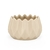 Maceta Cactus - comprar online
