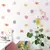 24 Adhesivos de Margaritas - comprar online