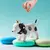 Alcancía Cerámica de Cachorro - comprar online