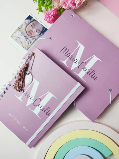 Caderneta de saúde+ pasta para documentos