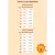 Kit Sortido 8 Peças de Roupa Infantil Menina (4 Camisetas e 4 Bermudas)
