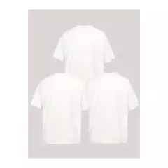 Kit 3 Camisetas Masculina Sortidas 100% Algodão Premium na internet