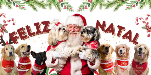 Carrusel Catarina Moda Pet 