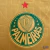 Imagem do Camisa Palmeiras Third 24/25 Versão Jogador