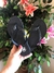 Chinelo Infantil Masculino Molekinho 7766