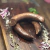 Morcilla Rosca