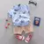 Conjunto Theo