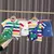 Conjunto Lucas - loja online