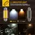 Canbus Aileo led c5w, 31mm, 36mm, 39mm, 42mm, c10w, lâmpada led 4014, 12v, luz - comprar online