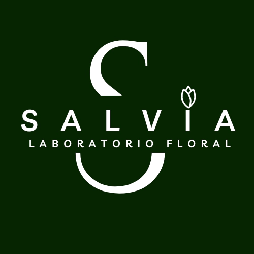 Salvia floral