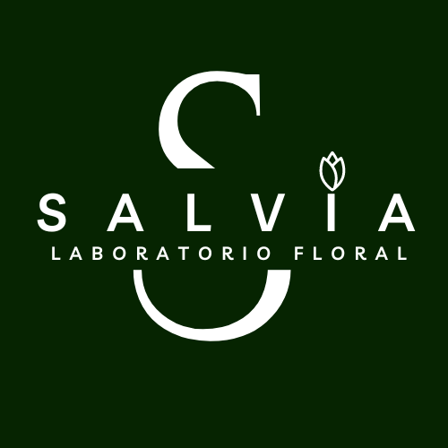 Salvia floral