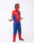 Fantasia Infantil Homem-Aranha Spider-Man Marvel NovaBrink -
                                          sem gênero -
                                          0 - 14 anos                                          - na Mãe Louca