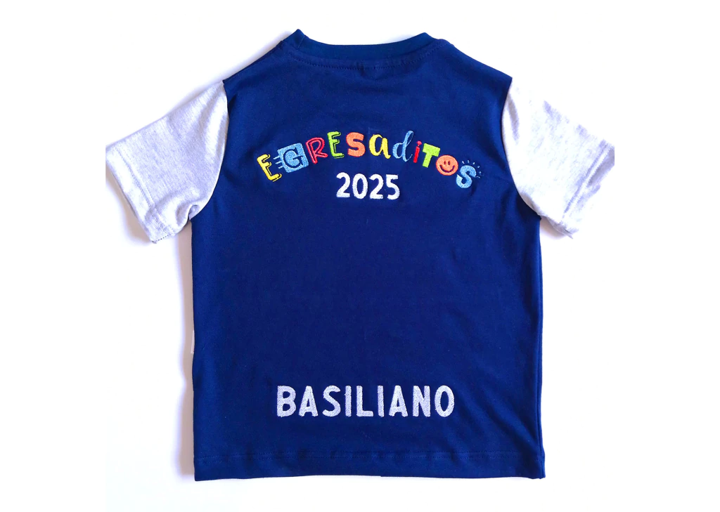 Remera combinada bordada