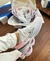 Mizuno wave invictus 3 - comprar online