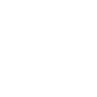 DemoLosRobles