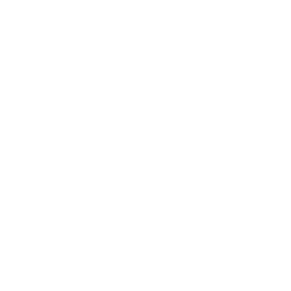 DemoLosRobles