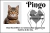 Placa Túmulo / Homenagem Pet 30x20cm Acm Branca Impressão colorida - loja online