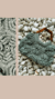 Carrossel 4