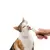 CATIT CREAMY SALMON - 4 UNIDADES - comprar online