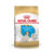 ROYAL CANIN JACK RUSSELL PUPPY 1 KG - comprar online