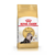 ROYAL CANIN PERSIAN 7.5 KG - comprar online