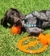 BIONIC BALL LARGE 9.5 en internet