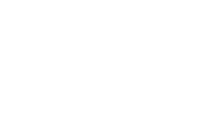 Bigo Imports