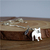 Colar em Prata Veneziana Pingente Pet Bulldog Francês - comprar online