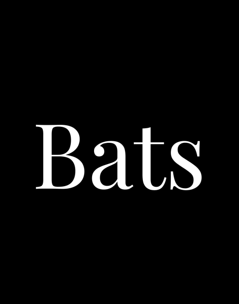 BATS ACESSÓRIOS