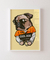 Cool dog
