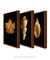 Trio Golden Leaf - comprar online