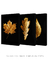 Trio Golden Leaf - Artes Nova Era - Quadros Decorativos