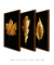 Trio Golden Leaf - Artes Nova Era - Quadros Decorativos