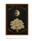 Árvore Lunar - comprar online