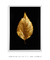 Golden Leaf nº3 - Artes Nova Era - Quadros Decorativos