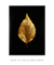 Golden Leaf nº3 - Artes Nova Era - Quadros Decorativos