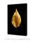 Golden Leaf nº3 - Artes Nova Era - Quadros Decorativos