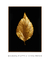 Golden Leaf nº3 - Artes Nova Era - Quadros Decorativos