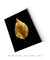 Golden Leaf nº3 na internet