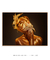 Golden Person nº60 na internet