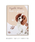 Aquele amor leve e sincero - comprar online