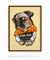 Cool dog - comprar online