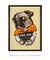 Cool dog - Artes Nova Era - Quadros Decorativos