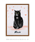 Gatinho Meow - comprar online